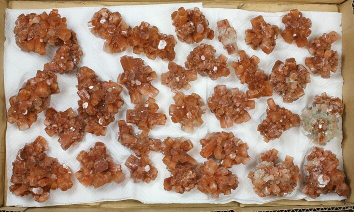 Lot: Assorted Twinned Aragonite Clusters - Pieces #134146
